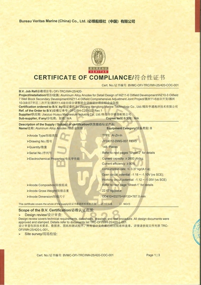 BV 项目符合性证书